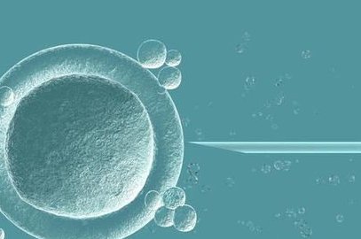 2026年重庆市7大助孕公司大对比，哪家最适合你？